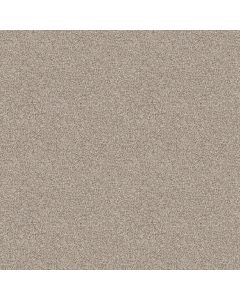 Shaw MAKE IT WORK Cocoa Butter Carpet - SH-E9716-00177