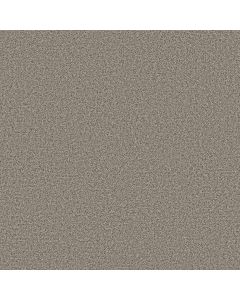 Shaw MAKE IT WORK Cobble Stone Carpet - SH-E9716-00573