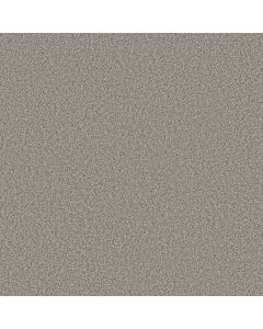 Shaw MAKE IT WORK Trade Wind Carpet - SH-E9716-00576