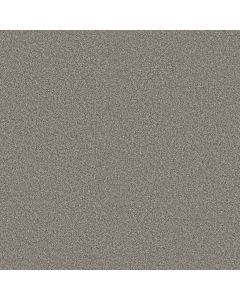 Shaw MAKE IT WORK Chat Room Carpet - SH-E9716-00577