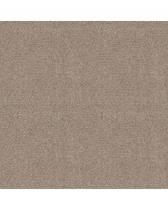 Shaw MAKE IT WORK Sands Of Time Carpet - SH-E9716-00770