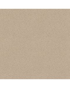Shaw ALWAYS READY I Boutique Carpet - SH-E9717-00191