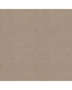 Shaw ALWAYS READY I Park Place Carpet - SH-E9717-00192