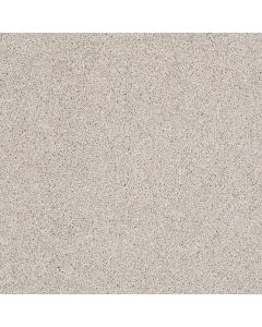 Shaw ALWAYS READY I Balanced Beige Carpet - SH-E9717-00193