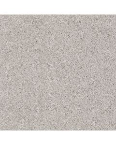 Shaw ALWAYS READY I Studio Taupe Carpet - SH-E9717-00194