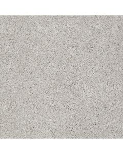 Shaw ALWAYS READY I Realist Carpet - SH-E9717-00196