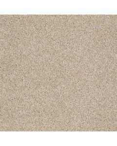 Shaw ALWAYS READY I Gold Rush Carpet - SH-E9717-00290