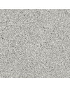 Shaw ALWAYS READY I Vapor Carpet - SH-E9717-00570