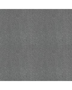 Shaw ALWAYS READY I Harbor Carpet - SH-E9717-00571