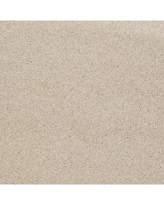 Shaw ALWAYS READY II Boutique Carpet - SH-E9718-00191