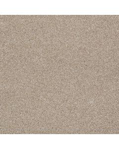 Shaw ALWAYS READY II Park Place Carpet - SH-E9718-00192