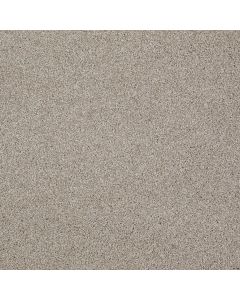 Shaw ALWAYS READY II Studio Taupe Carpet - SH-E9718-00194