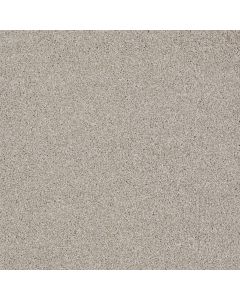 Shaw ALWAYS READY II Realist Carpet - SH-E9718-00196