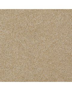 Shaw ALWAYS READY II Gold Rush Carpet - SH-E9718-00290