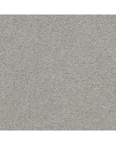Shaw ALWAYS READY II Vapor Carpet - SH-E9718-00570
