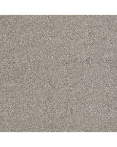Shaw ALWAYS READY II Crystal Haze Carpet - SH-E9718-00590