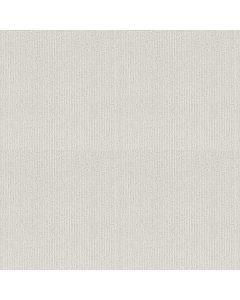 Shaw INSIGHTFUL WAY White Hot Carpet - SH-E9719-00170