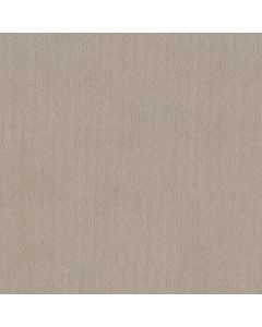 Shaw INSIGHTFUL WAY Studio Taupe Carpet - SH-E9719-00173