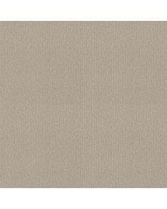 Shaw INSIGHTFUL WAY Alabaster Carpet - SH-E9719-00176
