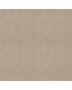 Shaw INSIGHTFUL WAY Passageway Carpet - SH-E9719-00177