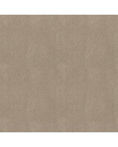 Shaw INSIGHTFUL WAY High Noon Carpet - SH-E9719-00178