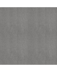 Shaw INSIGHTFUL WAY Silver Springs Carpet - SH-E9719-00474