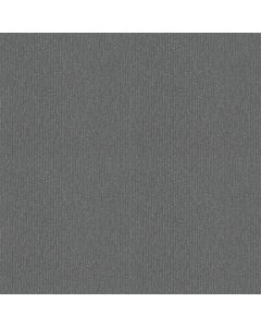 Shaw INSIGHTFUL WAY Blue Steel Carpet - SH-E9719-00475