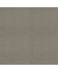 Shaw INSIGHTFUL WAY Silhouette Carpet - SH-E9719-00573