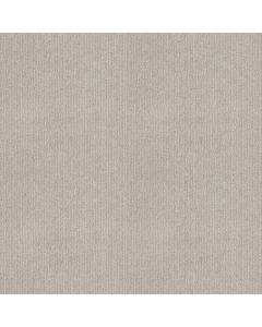 Shaw INSIGHTFUL WAY Rock Crystal Carpet - SH-E9719-00574