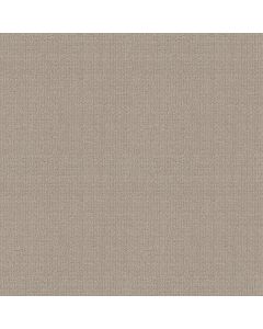 Shaw SENSIBLE NOW Studio Taupe Carpet - SH-E9720-00173