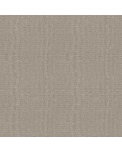 Shaw SENSIBLE NOW Quiet Moment Carpet - SH-E9720-00175