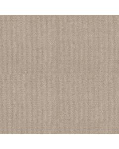 Shaw SENSIBLE NOW Passageway Carpet - SH-E9720-00177