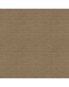 Shaw SENSIBLE NOW Gold Rush Carpet - SH-E9720-00270