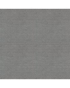 Shaw SENSIBLE NOW Silver Springs Carpet - SH-E9720-00474