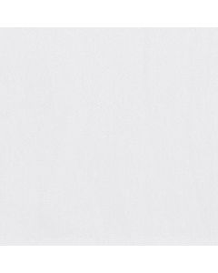 Shaw INFALLIBLE INSTINCT White Hot Carpet - SH-E9721-00170