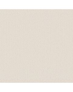Shaw INFALLIBLE INSTINCT Crisp Linen Carpet - SH-E9721-00171