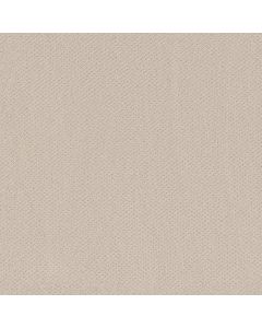 Shaw INFALLIBLE INSTINCT Alabaster Carpet - SH-E9721-00172