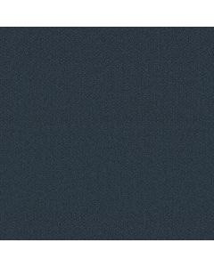 Shaw INFALLIBLE INSTINCT Modern Spaces Carpet - SH-E9721-00473