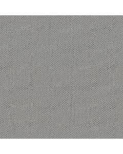 Shaw INFALLIBLE INSTINCT Offshore Mist Carpet - SH-E9721-00477
