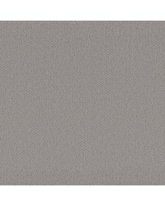 Shaw INFALLIBLE INSTINCT Silhouette Carpet - SH-E9721-00570