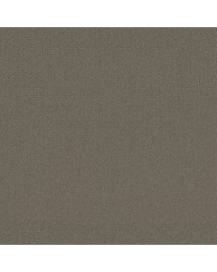 Shaw INFALLIBLE INSTINCT Abbey Stone Carpet - SH-E9721-00771