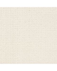 Shaw COMPLETE CONTROL Crisp Linen Carpet - SH-E9722-00171