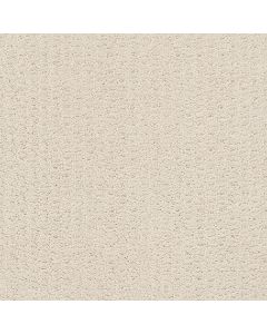 Shaw COMPLETE CONTROL Alabaster Carpet - SH-E9722-00172