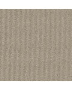 Shaw COMPLETE CONTROL Studio Taupe Carpet - SH-E9722-00173