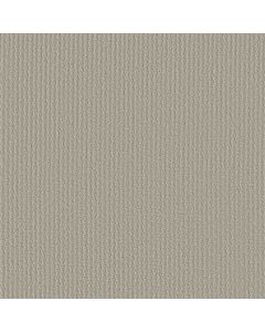 Shaw COMPLETE CONTROL Quiet Moment Carpet - SH-E9722-00175