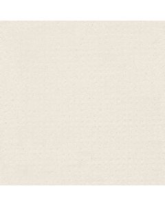 Shaw PERPETUAL MOVE Crisp Linen Carpet - SH-E9723-00171