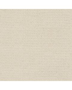 Shaw PERPETUAL MOVE Alabaster Carpet - SH-E9723-00172