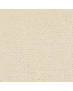 Shaw PERPETUAL MOVE Ivory Paper Carpet - SH-E9723-00180