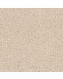 Shaw PERPETUAL MOVE Barista Carpet - SH-E9723-00191