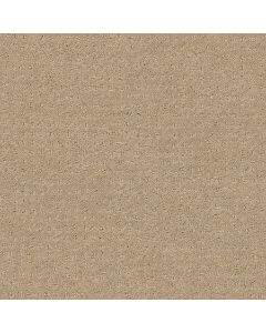 Shaw PERPETUAL MOVE Espresso Carpet - SH-E9723-00192